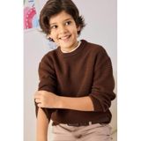 DeFacto Erkek Çocuk Bisiklet Yaka Triko Kazak, 9-10 Yaş, G4608A825CW, Kahve-BN340, Erkek Çocuklar