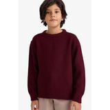 DeFacto Erkek Çocuk Bisiklet Yaka Triko Kazak, 9-10 Yaş, G5563A825WN, Bordo-BR464, Erkek Çocuklar