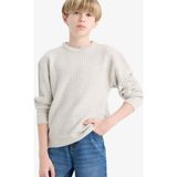 DeFacto Erkek Çocuk Bisiklet Yaka Triko Kazak C9468A825AU - Gri-GR210 - 5 - 6 Yaş