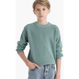 DeFacto Erkek Çocuk Bisiklet Yaka Triko Kazak F0959A825WN - Yeşil-GN1129 - 5 - 6 Yaş