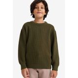 Defacto Erkek Çocuk Bisiklet Yaka Triko Kazak G4608a825cwkh438 Haki-kh438