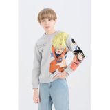 DeFacto Erkek Çocuk Dragon Ball New Bisiklet Yaka Sırt Baskılı Sweatshirt, 9-10 Yaş, D6814A824WN, Gri-GR297, erkek-çocuk