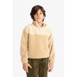 Defacto Erkek Çocuk Fermuarlı Yaka Nakışlı Pelüş Sweatshirt G2946a825wnbg360 Bej