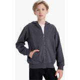 DeFacto Erkek Çocuk Kapüşonlu Basic Düz Okul Fermuarlı Sweatshirt X7382A625WN - 9 - 10 Yaş - Antrasit-AR126