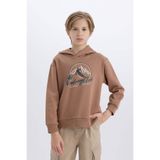 DeFacto Erkek Çocuk Kapüşonlu Baskılı Sweatshirt D6219A824CW