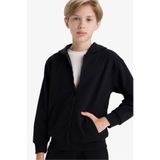 DeFacto Erkek Çocuk Kapüşonlu Okul Fermuarlı Sweatshirt (25 AU)
