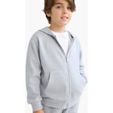 DeFacto Erkek Çocuk Kapüşonlu Okul Fermuarlı Sweatshirt T7468A625AU - 8 - 9 Yaş - Gri-GR377