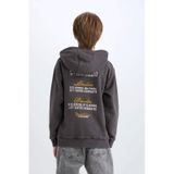 DeFacto Erkek Çocuk Kapüşonlu Sırt Baskılı Sweatshirt D3060A824WNAR223