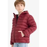 DeFacto Erkek Çocuk Kapüşonlu Şişme Mont, 8-9 Yaş, E8688A825AU, Bordo-BR194, Erkek Çocuklar
