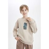 DeFacto Erkek Çocuk Oversize Geniş Kalıp Bisiklet Yaka Baskılı Sweatshirt D5678A824WNER37