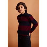 DeFacto Erkek Çocuk Polo Yaka Triko Kazak, 13-14 Yaş, G5339A825WN, Lacivert-NV256, Erkek Çocuklar