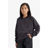 Defacto Erkek Çocuk Regular Fit Bisiklet Yaka Sweatshirt E8415a825auar138 Antrasit