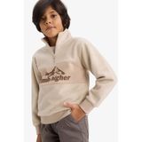 DeFacto Erkek Çocuk Yarım Fermuarlı Baskılı Polar Sweatshirt G4944A825AU