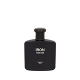 DeFacto Erkek Iron Grey Amber 100 ml Parfüm, H1464AXNS