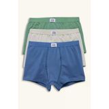 Defacto H0941a8be364 Mavi Penye 3'Lü Boxer Erkek Çocuk