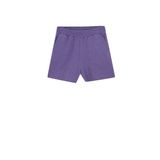 DeFacto Kadın Regular Fit Basic Şort, Mor Karışım , XS Şort