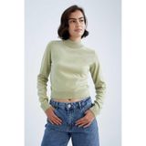 DeFacto Kadın Slim Fit Yarım Balıkçı Yaka Kazak