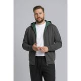 DeFacto Kapüşonlu Fermuarlı Sweatshirt, 5XL, H2059AX26SP, Gri, Erkek