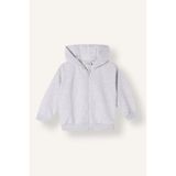 Defacto Kapüşonlu Fermuarlı Sweatshırt Hırka Erkek Bebek E8697a526augr396 Gri-gr396