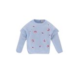 DeFacto Kız Bebek Kız Bebek Bisiklet Yaka Çiçekli Kazak, Açık Mavi, 12-18 M