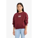 DeFacto Kız Çocuk Relax Fit Bisiklet Yaka Baskılı İçi Yumuşak Tüylü Sweatshirt E6779A825WN