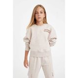 DeFacto Kız Çocuk Relax Fit Bisiklet Yaka Baskılı Sweatshirt D2886A824WN