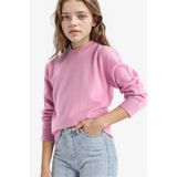 Defacto Kız Çocuk Standart Fit Bisiklet Yaka Triko Kazak C6902a825aupn444 Pembe