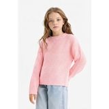DeFacto Kız Çocuk Standart Fit Bisiklet Yaka Triko Kazak C6909A825AU - Pembe-PN637 - 7 - 8 Yaş