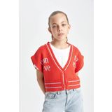 DeFacto Kız Çocuk V Yaka Triko Yelek C6928A824AU