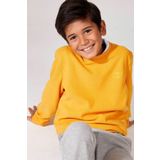 Defacto L0311A6.19AU.YL369 Sarı Erkek Çocuk Uzun Kollu Sweatshirt