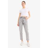 Defacto Lina Comfort Mom Normal Bel Düz Paça Jean Kar Yıkamalı Pantolon, 34, D7947AX25SP, Gri, Kadın