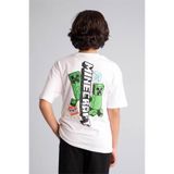 DeFacto Mınecraft Beyaz Erkek Çocuk T-Shirt G8885A8/WT34