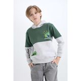 DeFacto Minecraft Kapüşonlu Sweatshirt Erkek Çocuk D6746A824WN