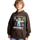 DeFacto Minecraft Lisanslı Baskılı Kapüşonlu İçi Yumuşak Tüylü Kalın Sweatshirt Kumaşı Sweatshirt Erkek Çocuk