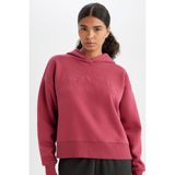 DeFacto NBA Los Angeles Lakers Kapüşonlu Kalın Sweatshirt C8248AX24AU