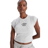 DeFacto NBA Los Angeles Lakers Standart Fit Bisiklet Yaka Nakış Baskı Fitilli Kaşkorse Kısa Kollu Tişört, S, E3828AX25SM, Gri-GR93, Erkek