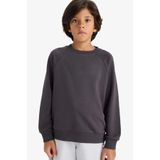 DeFacto Okul Bisiklet Yaka Basic Düz Okul Sweatshirt Erkek Çocuk E8415A825AU