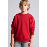 DeFacto Okul Bisiklet Yaka İçi Yumuşak Tüylü Basic Sweatshirt Erkek Çocuk I1419A826WN