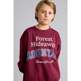 DeFacto Overshirt Fit Bisiklet Yaka Baskılı Sweatshirt Erkek Çocuk I3081A826WN