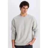 DeFacto Oversize Geniş Kalıp Bisiklet Yaka Kalın Basic Düz Sweatshirt, XS, E5955AX24WN, Gri, erkek