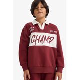 DeFacto Oversize Geniş Kalıp Polo Yaka Baskılı İçi Yumuşak Tüylü Sweatshirt Erkek Çocuk, 13-14 Yaş, G4384A825WN, Bordo-BR194, erkek-çocuk