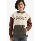 DeFacto Oversize Uzun Kollu Kapüşonlu Pamuklu Baskılı İçi Yumuşak Tüylü Sweatshirt Erkek Çocuk G5562A825CW