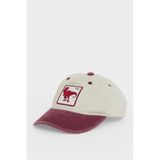 Defacto Pamuklu Cap Şapka Erkek Çocuk G4754a826smbr443 Bordo-br443