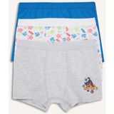 DeFacto Paw Patrol Lisanslı Desenli 3'lü Mavi Boxer Erkek Çocuk C2901A826SP - 2 - 3 Yaş