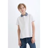 DeFacto Polo Yaka Basic Düz Kısa Kollu Tişört Erkek Çocuk D9254A825SM - Beyaz-WT34 - 5 - 6 Yaş