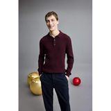 Defacto Polo Yaka Triko Kazak, M, E5335AX25WN, Bordo, Erkek