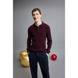 Defacto Polo Yaka Triko Kazak, Xl, E5335AX25WN, Bordo, Erkek