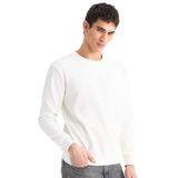 DeFacto Regular Fit Bisiklet Yaka Dokulu Jakarlı Sweatshirt, XL, D7549AX25SP, Ekru-ER138, erkek