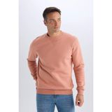 DeFacto Regular Fit Bisiklet Yaka Kalın Basic Düz Sweatshirt, M, T3777AZ25SP, Pembe-PN602, erkek