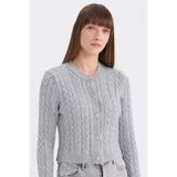 DeFacto Regular Fit Bisiklet Yaka Triko Hırka, S, C9044AX25SP, Gri-GR400, Kadın